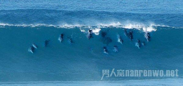 不愧是“百变星君”,王祖蓝模仿陈志朋被本尊认可,他还有哪些特别的造型?- 专业知识问答网页,快速解答您的疑问